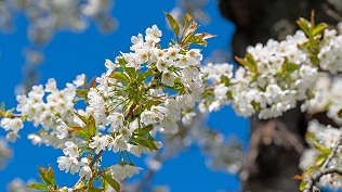 Klimatologické jaro 2025
(Kliknutím se obrázek zvětší)